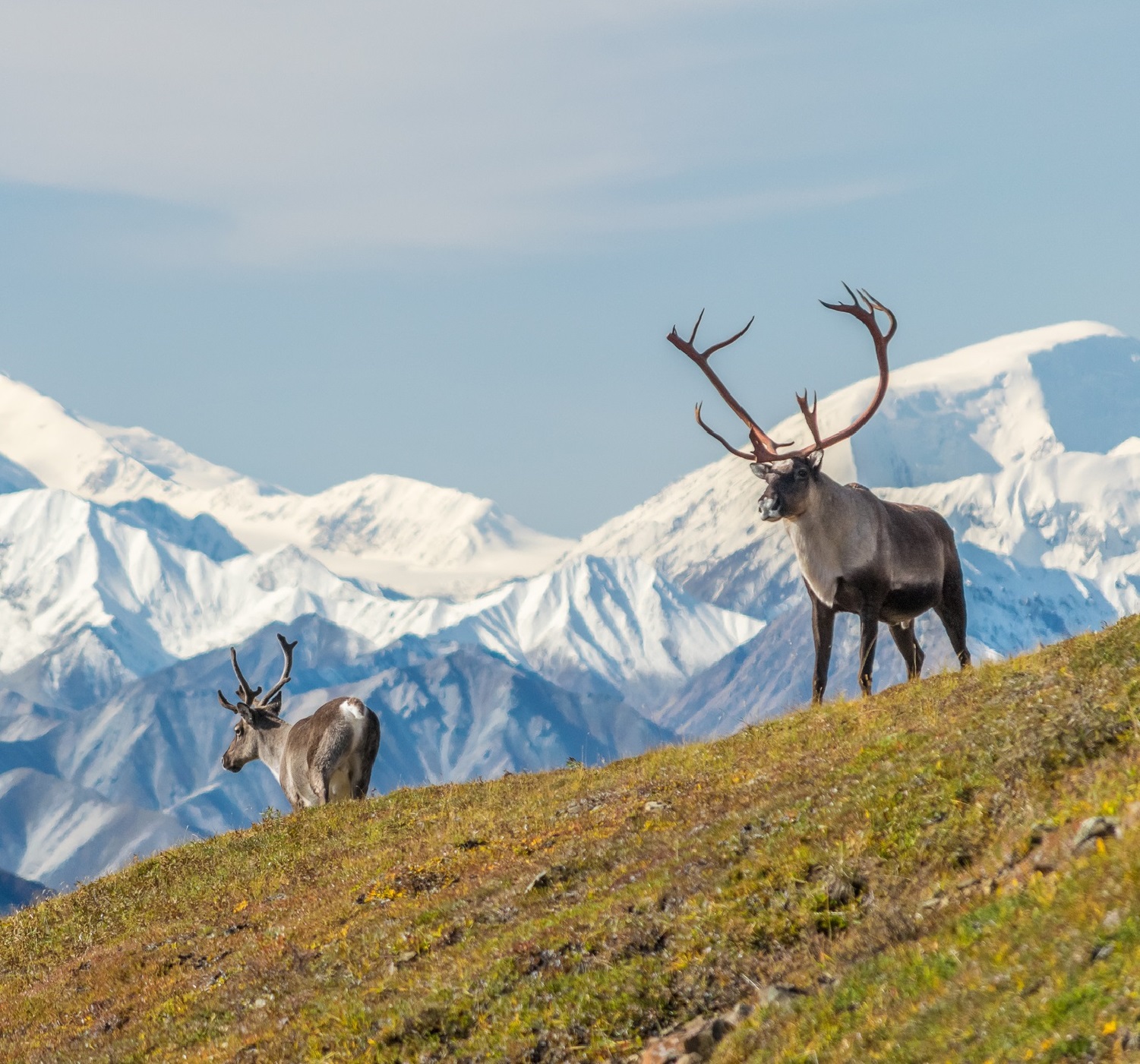 alaska medicaid travel office